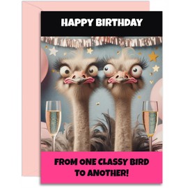Best Friend Birthday - One Classy Bird Bestie Design - Funny Birthday Card for Women. A5 Size with Pink Envelope. Designed and Printed in the UK