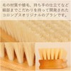 Columbus Shoe Brush, Pig Bristle, Columbus Brush, Polishing, Shoe Care,