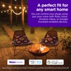 Roku Smart Home Outdoor Smart Plug - WiFi Smart Plugs