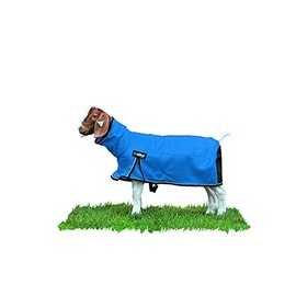 Weaver Leather Livestock ProCool Mesh Goat Blanket with Reflective Piping