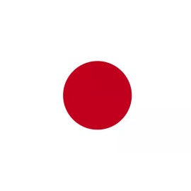 The GameFace Company Lot of 10 Japan Flag Face Stickers 1014 - 1.5" x 2.5"