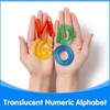 Oscarios 66 Pcs Translucent Letters and Numbers Set with Colorful