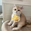 Hjvvr Pet Bib,Cat Collar Decoration,Adjustable Cat Scarf Neckwear with Bow