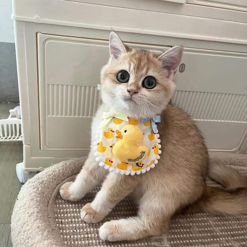 Hjvvr Pet Bib,Cat Collar Decoration,Adjustable Cat Scarf Neckwear with Bow