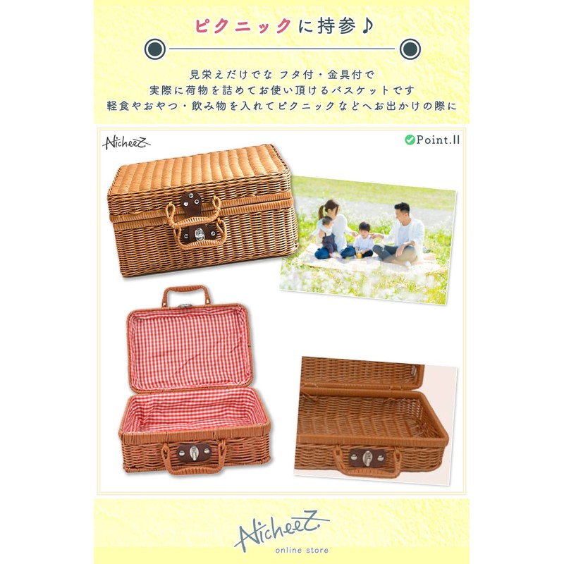 Nicheez Picnic Basket Bento Basket (Inner Fabric Ant)