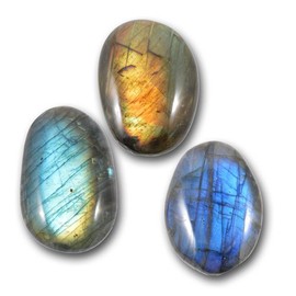 British Fossils Labradorite Palmstone Pebble