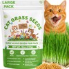 18oz Cat Grass Seeds Bulk - Over 14000+ Premium Cat
