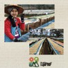 Coffee Beans Caffeine-less Colombia Supremo (Swiss Style Water Extraction Method)