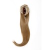 WIG ME UP - WK06-15 Hairpiece Voluminous Smooth Falling Ponytail