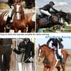 Luynro Professional Horse Racing Crop Jockey Whip 27 inch /