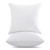 Oubonun 22x22 Throw Pillows Inserts, 2 Pack Square Decorative Pillows