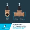 Cash Acme EB45 Pressure Regulating Valve, 3/4 Inch NPT Threaded,