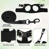 BOXOB 3pcs Bearded Dragon Harness & Leash Set, 3 Sizes