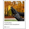 AKAROA ESTD 2019 Men’s RON Italian Sheepskin Leather Gloves with