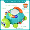 MAVEKID Multi-functional High Crawling Turtle Baby Toy, Educational Toy, 1
