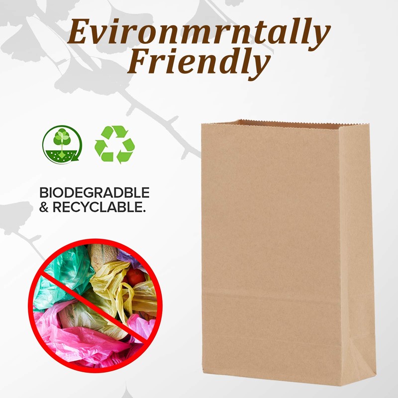 Paper Lunch Bags Brown Paper Lunch Bags Brown Paper Bags