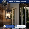 Smeike Dusk to Dawn Outdoor Wall Lantern, Large Exterior Wall