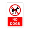 Safety First Display LTD No dogs sign - 1.2mm Rigid