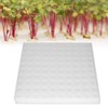 Oubit Hydroponic Sponge - Pack of 100 Hydroponic Sponge Planted