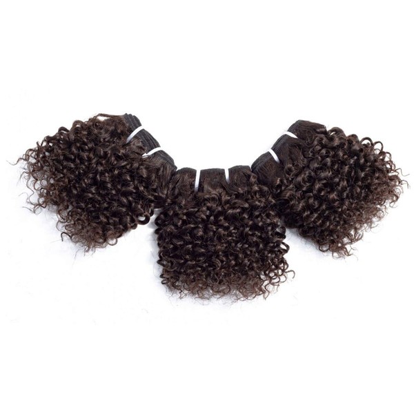 Chisu Peruvian Virgin Hair Kinky Curly Human Hair Weave Bundles 6 Inch Short-Cut Bob Style Light Brown Color(3 bundles 6 inches+1 piece crown closure = about 119grams)