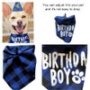 Dog Birthday Bandana Set, 3 Pieces Dog Birthday Bandana Hat