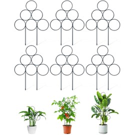 6 Pack Small Trellis for Potted Plants, 15.7 Inch Stackable Garden Trellis for Indoor Climbing Plants, Houseplant Metal Wire Trellis Plant Support Stake for Ivy Vines (Black)