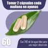 Nad+ Resveratrol 11 En 1 Energía Celular Y Antiedad 60