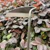 alanx 12 Inch Japanese Gardening Hand Weeding Sickle, Weeding Hoe
