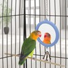 Pet Bird Mirror with Bell Interactive Parrot Toy Bird Cage