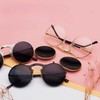 qinqilanqi-S Retro Metal Steampunk Flip-Up Sunglasses for Men and Women,