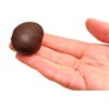 Solidarnosc Candied Plums in Dark Chocolate Sliwka Naleczowska (2.2 lbs)