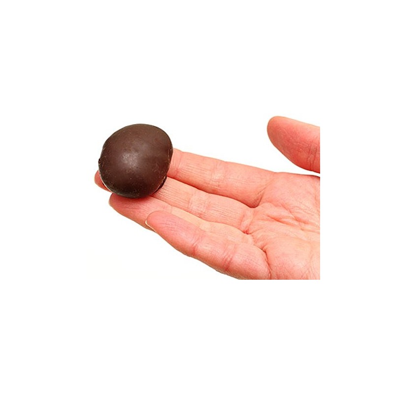 Solidarnosc Candied Plums in Dark Chocolate Sliwka Naleczowska (2.2 lbs)