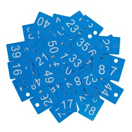 StayMax ABS Plastic Numbered Rectangle Key Tags ID Tags Number Disc with Hole (1-100, Blue)