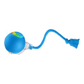 Quibron Interactive Cat Ball Toy with Flashing Lights & Bird Sounds - Multi-Surface Adaptive Roller, USB Rechargeable Motion-Activated Cat Teaser for Indoor Cats, Smart Enrichment Gift (Blue)