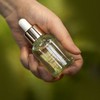 SANDAHWA Extra Virgin Camellia Face Oil 30ml