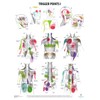 Anatomy Lab Trigger Points I Poster, LAMINATED, Anatomy and Physiology