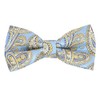 King & Priory Blue with Gold Paisley Pattern, Blue, One