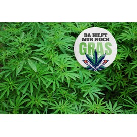 Schilderkreis24 Funny Saying "Da hilft nur noch Gras" Magnet Kiffen Decorative Fridge Magnet Humour Funny Gift Idea Birthday Christmas 8 x 8 cm