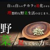 遠赤青汁 V1 