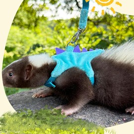 Anelekor Ferret Harness and Leash Set Small Animals Vest Harness with Safe Bell Dinosaur Shaped Walking Clothes for Baby Rabbit Guinea Pig Teacup Chihuahua Mouse and Other Small pet.(Blue Dinosaur)