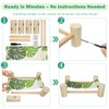 Dojomadf Wooden Bearded Dragon Cloth Bed, Reptile Hammock for Bearded