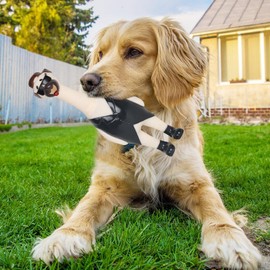 Kumprohu Pet Squeaking Toy,Squeeze Chicken Noisemaker Dog Squeak Toys | Soft Noisemaker Shrilling Shrieking Dog Toys, Noise Maker Toy Squawking Dog Rubber Toy for Small Medium Dogs and Puppy