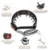 Mayerzon Martingale No Pull Dog Collar, Reflective Walking Collar for