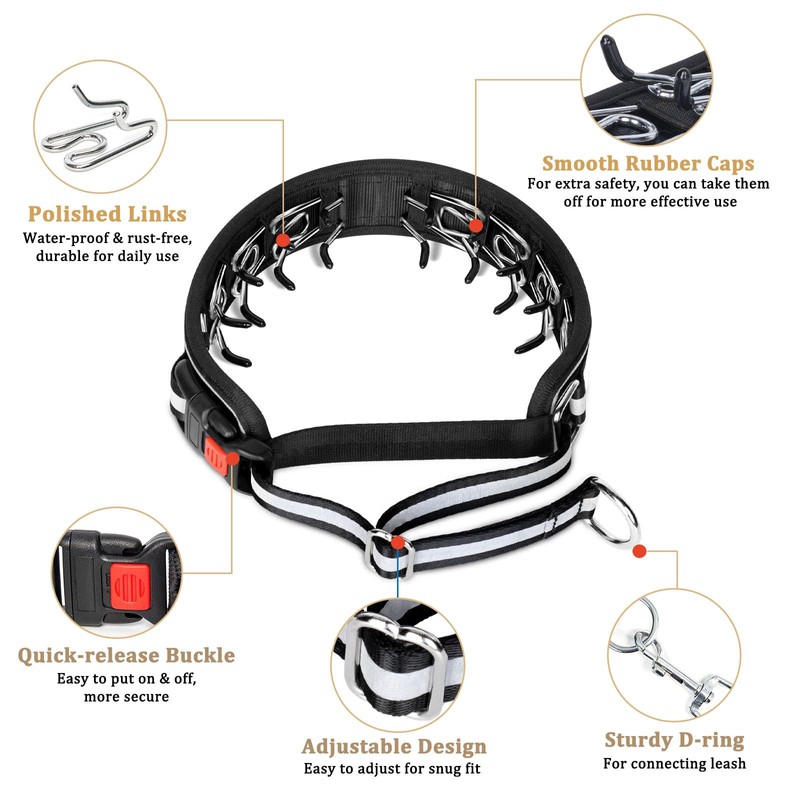 Mayerzon Martingale No Pull Dog Collar, Reflective Walking Collar for