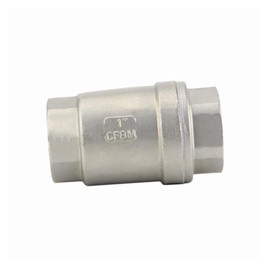 DAHSLNWKN Check Valves 1/4 1/2 1 2 2-1/2 Stainless Steel SS304 Vertical Lift in Line Spring Check Valve DN8 DN10 DN15 DN20 DN25 DN32 DN40 DN50 1pc(2 Inch)