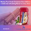 Mentos sugar free gum- pure fresh With Xylitol, Cinnamon 50