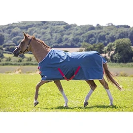 Shires Tempest Original Lite Turnout Rug - Teal 6ft6