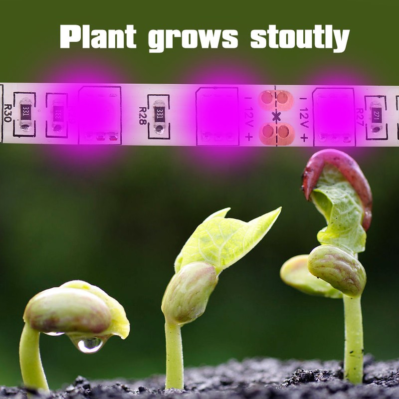 5:1 Plant Growth LED Strip Lights High Luminous Efficiency Flower