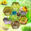 Legigo 2 Pack Seed Sprouter Trays with Lids- Soil-Free Cultivation
