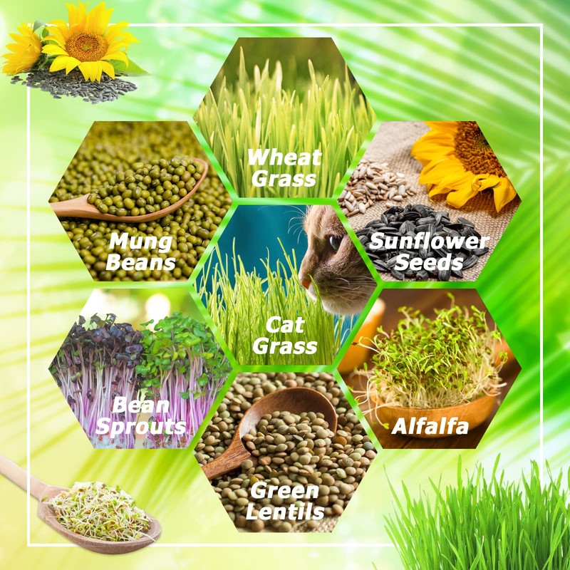 Legigo 2 Pack Seed Sprouter Trays with Lids- Soil-Free Cultivation
